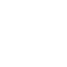 演奏紹介